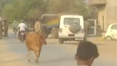 क्या पुलिस की पिटाई से हुई आरोपी के बेटी की मौत ? क्या कह रहे है ग्रामीण ? Hindi News | Pradesh @360