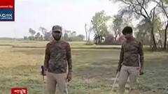 Birbhum Elephant: পাড়ুইয়ে দলছুট দাঁতালদের তাণ্ডব, তাড়ানোর চেষ্টা বনকর্মীদের।Bangla News