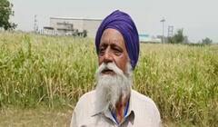 ਕਿਸਾਨ ਦੀ ਫਿਕਰ ਹੋਰ ਵਧੀ, ਬਿਜਲੀ ਸੰਕਟ ਵਿਚਾਲੇ ਪਾਣੀ ਨਾ ਮਿਲਣ ਕਾਰਨ ਖੜ੍ਹੀ ਫਸਲ ਮੁਰਝਾਈ