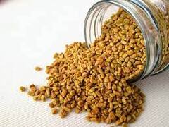 Fenugreek : ওজন কমাতে অব্যর্থ মেথি, কীভাবে খাবেন জেনে নিন