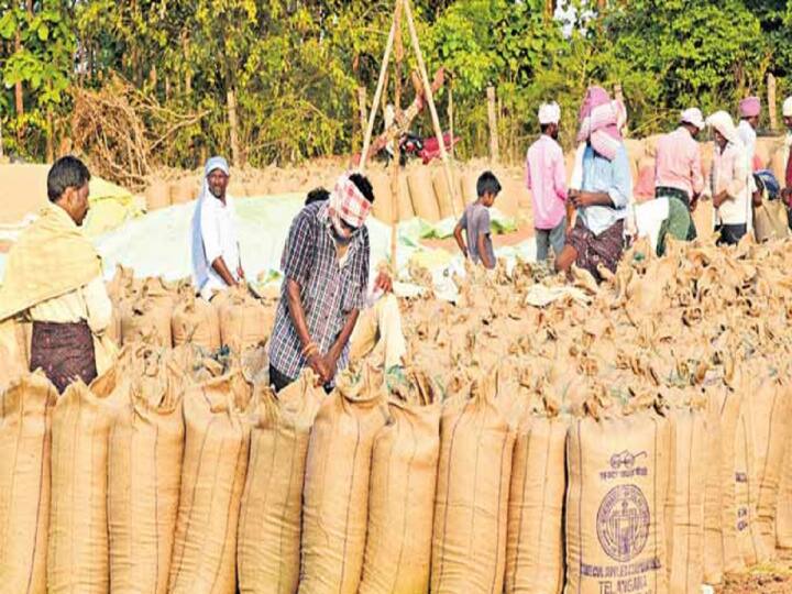 Paddy procurement at 4000 centers in Uttar Pradesh two districts not included Paddy purchase: उत्तरप्रदेश में 4000 केंद्रों पर धान खरीद, दो जिलों को नहीं किया गया शामिल