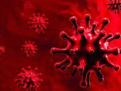 Noida में फिर बढ़ने लगे कोरोना केस, 31 मई तक लागू की गई धारा 144, जानें क्या कहते हैं आंकड़े