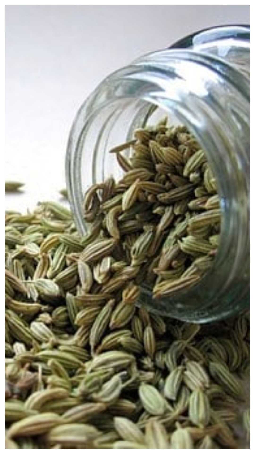 सौंफ का पानी या फिर भुनी हुई सौंफ खाने से शराब की लत से छुटकारा मिलता है.