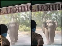 Corbett National Park में पर्यटकों की गाड़ी पर हमला करने के लिए दौड़ा हाथी, वीडियो Viral