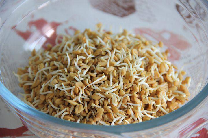 गर्मी में पेट दर्द की परेशानी से राहत पाने के लिए मेथी का पानी पिएं. मेथी का पानी पीने से पेट दर्द को कम कर सकते हैं. (Photo - Pixabay)