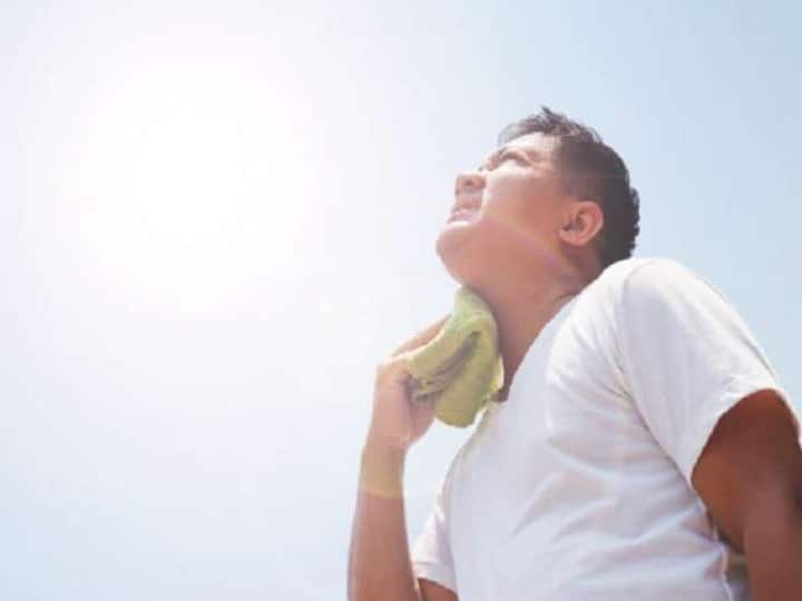Jabalpur Heat stroke can be fatal for you, know how to avoid it ANN Jabalpur News: हीट स्ट्रोक आपके लिए हो सकता है जानलेवा, जानिए इससे बचने के उपाय