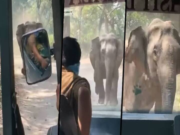 Video Of Elephant chasing tourists in Uttarakhand Jim Corbett Reserve goes viral in Social media Watch Video: மரணபயத்தை காட்டிட்ட பரமா... பயணிகளை துரத்திய யானை.. வைரல் வீடியோ..