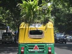 Autorickshaw Garden: दिल्ली में गर्मी से बचने के लिए ऑटो की छत पर बना डाला गार्डन