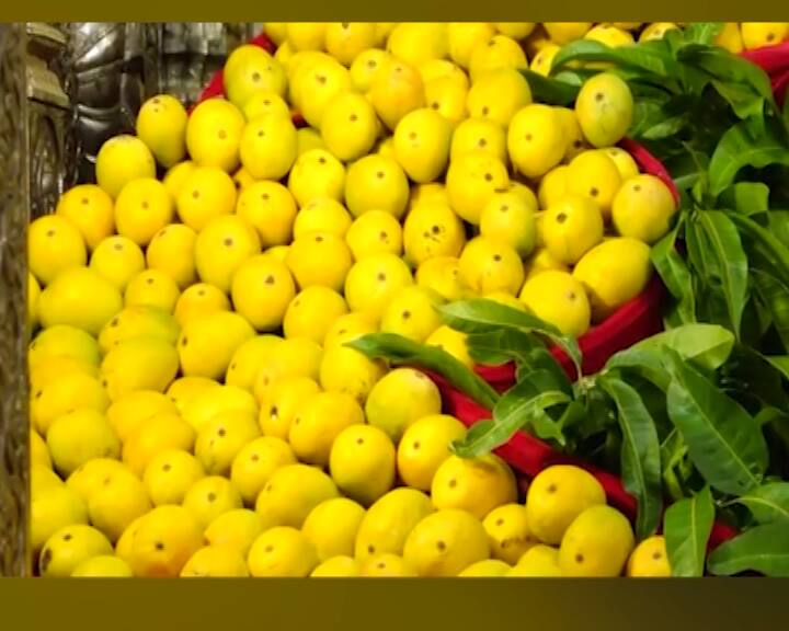 संपूर्ण मंदिर परिसरात हापूस आंब्यांचा सुगंध पसरला आहे.