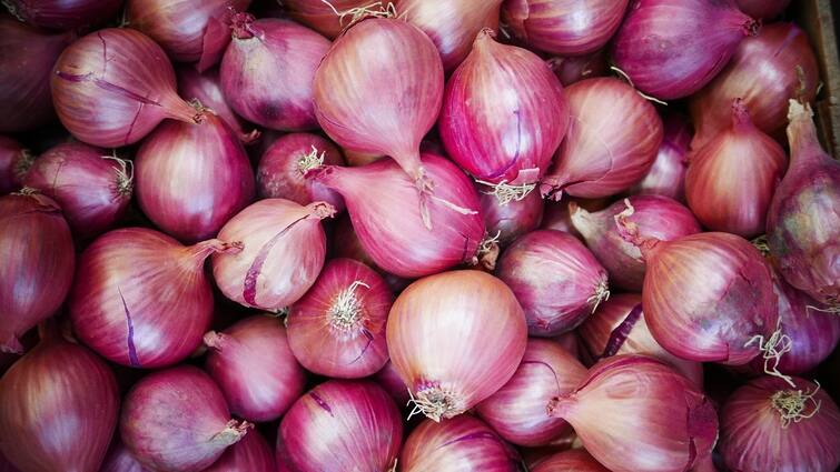 onions Farmers of Saurashtra are troubled Rajkot: ડુંગળી પકવતા સૌરાષ્ટ્રના ખેડૂતો પરેશાન,  પ્રતિ કિલો ત્રણથી ચાર રૂપિયા જ ભાવ મળે છે