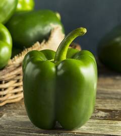 Health Tips : दम्याची लक्षणं टाळण्यासाठी 'या' फळभाज्यांचा आहारात समावेश करा