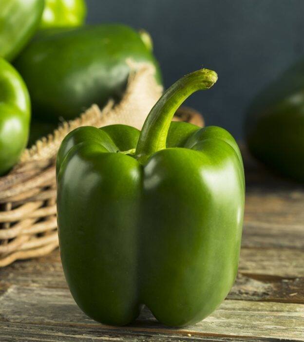 शिमला मिरचीमध्ये अँटिऑक्सिडंट्स, व्हिटॅमिन-सी आणि फायटोन्यूट्रिएंट्सचे गुणधर्म भरपूर प्रमाणात असतात. जे तुमच्या आरोग्यासाठी खूप फायदेशीर आहेत.