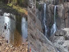 In Pics: जशपुर में खतरे में नदियों का अस्तित्व, पानी की कमी बनी परेशानी