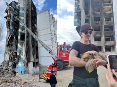 Video: 7वीं मंजिल पर फंसी थी बिल्ली, यूक्रेनी बचावकर्ता टीम ने दूसरे शहर से सीढ़ी लाकर ऐसे बचाया