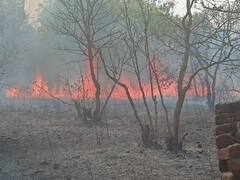 Sonbhadra: करोड़ों साल पुरानी ऐतिहासिक धरोहर में लगी आग, नहीं पहुंचीं दमकल की गाड़ियां, वन विभाग की टीम ने पाया काबू