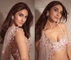 In Pics : शाम गुलाबी... शहर गुलाबी... वाणी कपूरचा 'गुलाबी' लूक