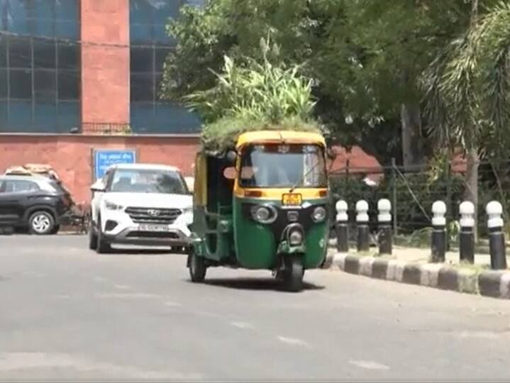 WATCH | Delhi Driver Grows Plants Atop Auto Roof To Beat The Heat WATCH | Delhi Driver Grows Plants Atop Auto Roof To Beat Sweltering Heat