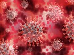 Mumbai Corona Update : मंगळवारी मुंबईत 100 नव्या रुग्णांची भर, 637 सक्रीय रुग्ण