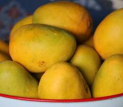 Mango Rates: आम खाने के लिए जेब ज्यादा ढीली करनी होगी, जानें देश के अलग-अलग राज्यों में आम के ताजा रेट्स