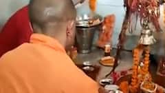 Uttarakhand दौरे पर अपने पैतृक गांव पहुंचे CM Yogi ने की पूजा-पाठ...ताबड़तोड़ अंदाज में दिन की बड़ी सुर्खियां