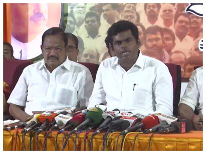 tamilnadu bjp leader annamalai comment about petrol bomb attact TNN பெட்ரோல் குண்டு வீச்சு பாஜக தொண்டர்கள் களத்திற்கு வந்தால் - அண்ணாமலை ஓபன் டாக்