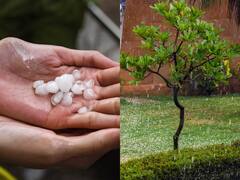 In Pics: दिल्ली के कुछ इलाकों में गिरे ओले, झमाझम बारिश के बाद गर्मी से लोगों को थोड़ी राहत