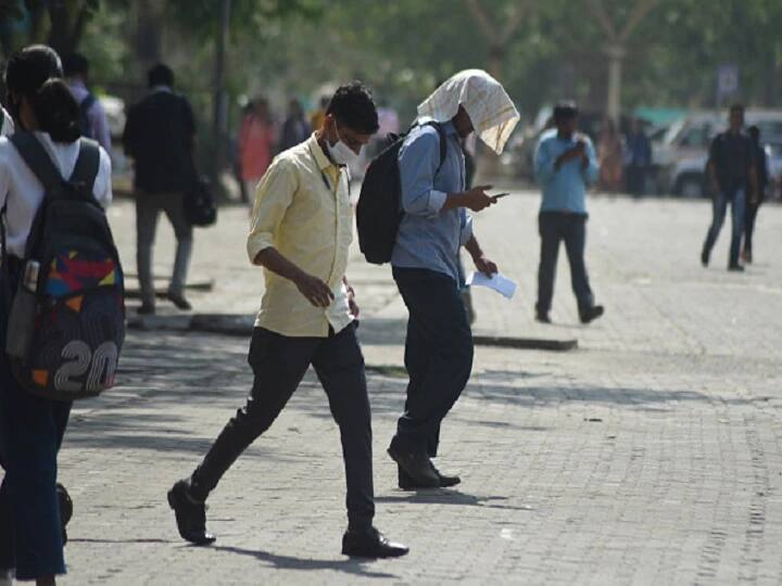 Delhi Rain Forecast IMD issues Yellow alert warns of dust storm delhi rains likely parts of capital Delhi Rain Forecast: मौसम विभाग ने दिल्ली में जारी किया येलो अलर्ट, धूल भरी आंधी चलने के हैं आसार