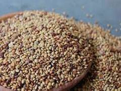 Health Tips: आपकी किचन की यह दाल डायबिटीज ही नहीं बल्कि वेटलाॅस में भी है मददगार, आज ही डाइट में करें शामिल