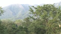 आज अपने छोटे भाई के बेटे के मुण्डन संस्कार में CM Yogi होंगे शामिल !