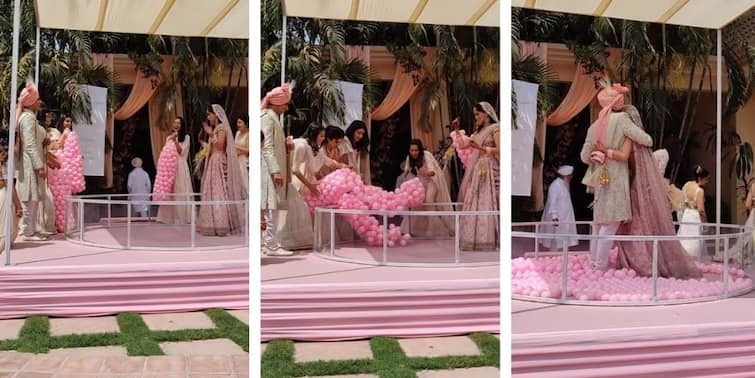 Video of bride and groom's unique jaimala ceremony in a ball pit goes viral Viral Video: বেলুনের মধ্যে মালা বদল, বর-কনের 'অভিনব বিয়ে' ভাইরাল