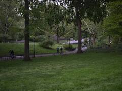 Delhi Park: दिल्ली के 56 प्रतिशत पार्क बदहाल, केजरीवाल सरकार दूर करेगी बदहाली