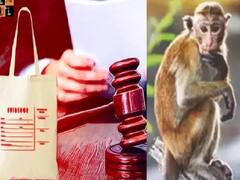 Rajasthan: கொலைக்கான ஆதாரங்களை குரங்கு தூக்கிடுச்சு - கோர்ட்டில் போலீசார் சொன்ன ஷாக் நியூஸ்!