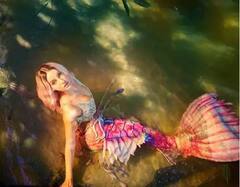 Nora Fatehi: પવન કલ્યાણની ફિલ્મમાં નોરા ફતેહીએ જેક્લીનને રિપ્લેસ કરી? જાણો ફિલ્મની તમામ વિગતો