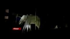 Bankura Elephant: সবজি বাজারে তাণ্ডব, স্থানীয়দের তাড়া করে আতঙ্ক ছড়াল দলছুট দাঁতাল।Bangla News