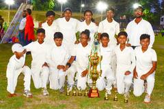 Pink Ball Cricket: আইপিএল মরসুমে কলকাতায় মহিলাদের গোলাপি বলে ক্রিকেট