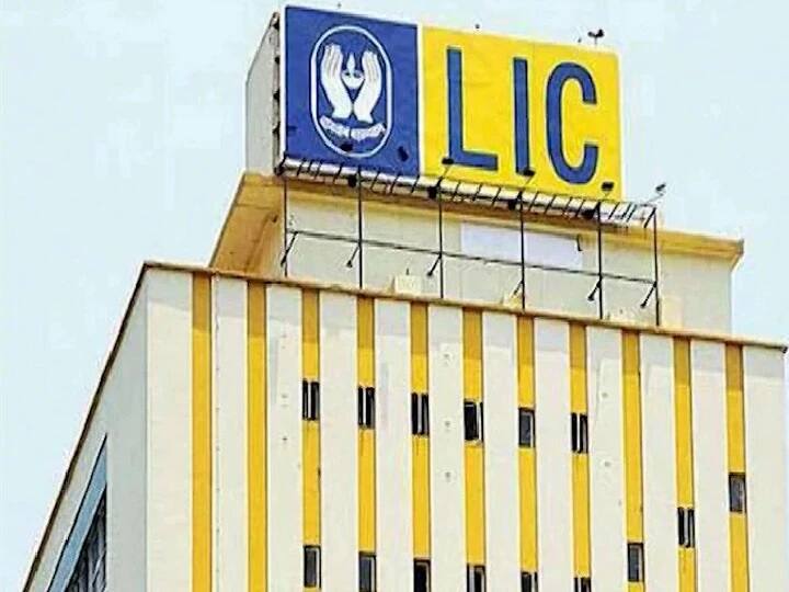 30 सप्टेंबर 2021 पर्यंत, LIC डॉलर 39.55 ट्रिलियन एयूएमसह भारतातील सर्वात मोठा मालमत्ता व्यवस्थापक होता, भारतातील सर्व खाजगी जीवन विमा कंपन्यांच्या एकत्रित AUM च्या 3.3 पट आणि संपूर्ण भारतीय म्युच्युअल फंड उद्योगाच्या AUM च्या 1.1 पट जास्त. 21 सप्टेंबरपर्यंत, LIC ची सूचीबद्ध समभागांमध्ये केलेली गुंतवणूक NSE च्या संपूर्ण मार्केट कॅपच्या जवळपास 4 टक्के होती.