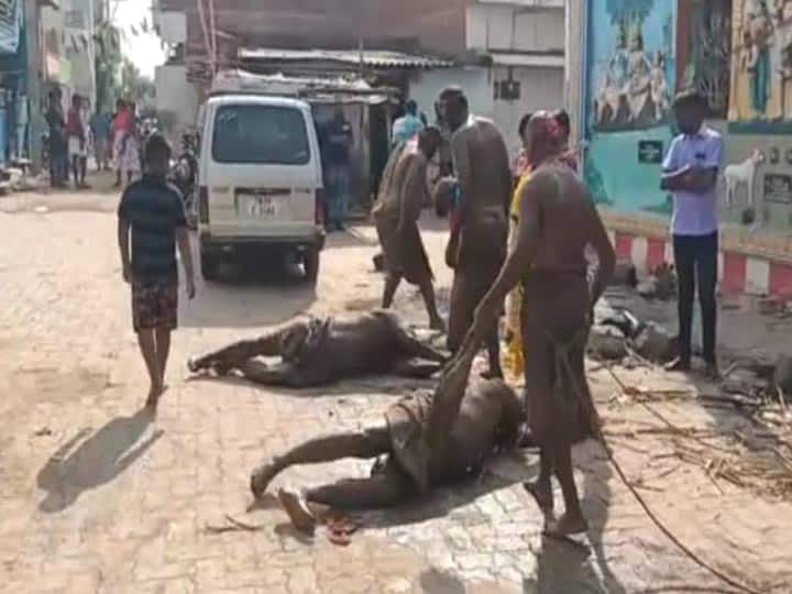 தேனி : கோவில் திருவிழாவில் ஒருவரை ஒருவர் துடைப்பத்தால் அடித்துக்கொண்ட விநோத நிகழ்வு..