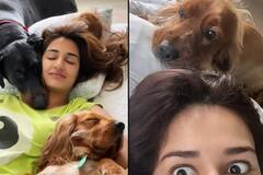 Disha Patani Pets: एनिमल लवर हैं टाइगर श्रॉफ की गर्लफ्रेंड दिशा पटानी, पालतू जानवरों से है एक्ट्रेस को ख़ास लगाव