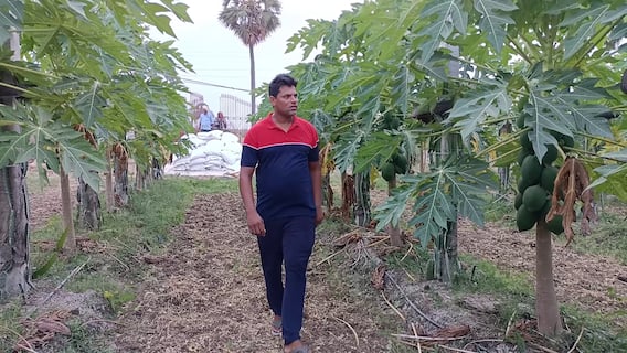 Nellore Software Engineer : ఇటు వ్యవసాయం, అటు సాఫ్ట్వేర్ ఉద్యోగం- లాక్ డౌన్ విచిత్రం Nellore Software Engineer : ఇటు వ్యవసాయం, అటు సాఫ్ట్వేర్ ఉద్యోగం- లాక్ డౌన్ విచిత్రం