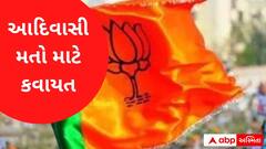 વિધાનસભાની ચૂંટણીમાં આદિવાસી મતો અંકે કરવા ગુજરાત ભાજપે હાથ ધરી કવાયત, જુઓ વીડિયો