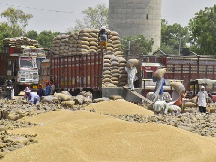 Wheat Procurement To Fall By More Than Half As Exports Rise: Food Secretary Sudhanshu Pandey Wheat Procurement To Fall By More Than Half As Exports Rise: Food Secretary Sudhanshu Pandey