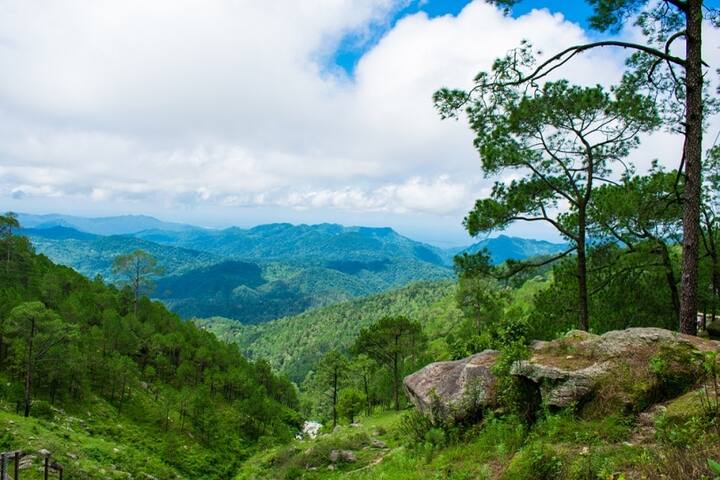 कसोल, हिमाचल प्रदेश - नेचर लवर्स के लिए कसोल ना सिर्फ किसी स्वर्ग से कम है बल्कि यहां के ट्रेकिंग ट्रेल्स दुनियाभर के टूरिस्ट्स को आकर्षित करते हैं. मार्च से जून के बीच घूमने के लिए ये एक बेहतरीन विकल्प है.