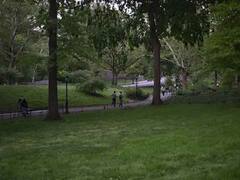 Delhi: दिल्ली के पार्कों का होगा कायाकल्प, सरकार का दावा- अंतरराष्ट्रीय स्तर का होगा सौंदर्यीकरण