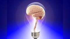 Improve Memory Tips: প্রাকৃতিক উপায়েই প্রখর করুন স্মৃতিশক্তি, মেনে চলুন এই টিপসগুলো