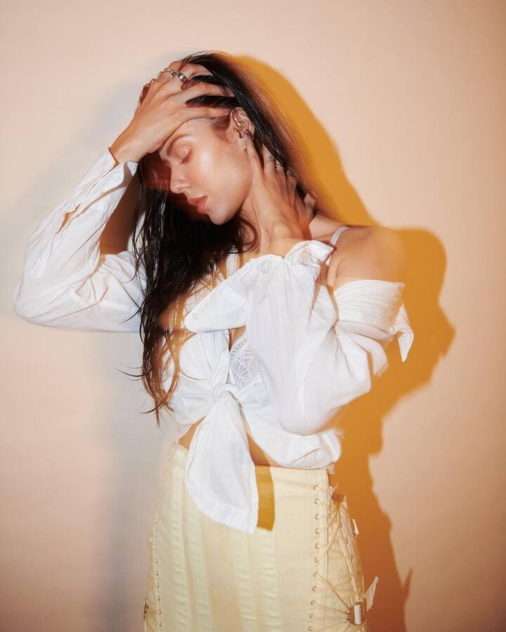 సోనమ్ బజ్వా( Image credit:sonam bajwa/Instagram)