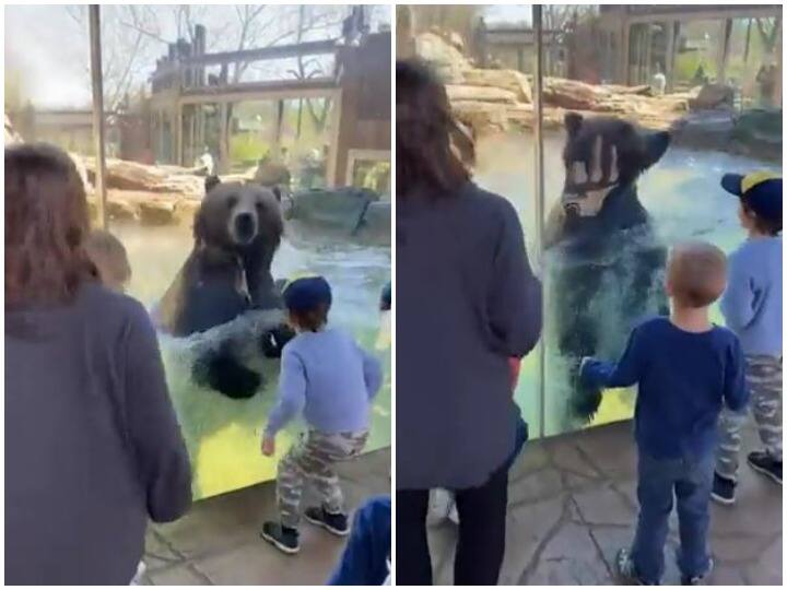 Bear Having Fun With A Group Of Children Watch: बच्चों के इशारे पर झूमता दिखाई दिया विशालकाय भालू, हैरान कर देगा वीडियो