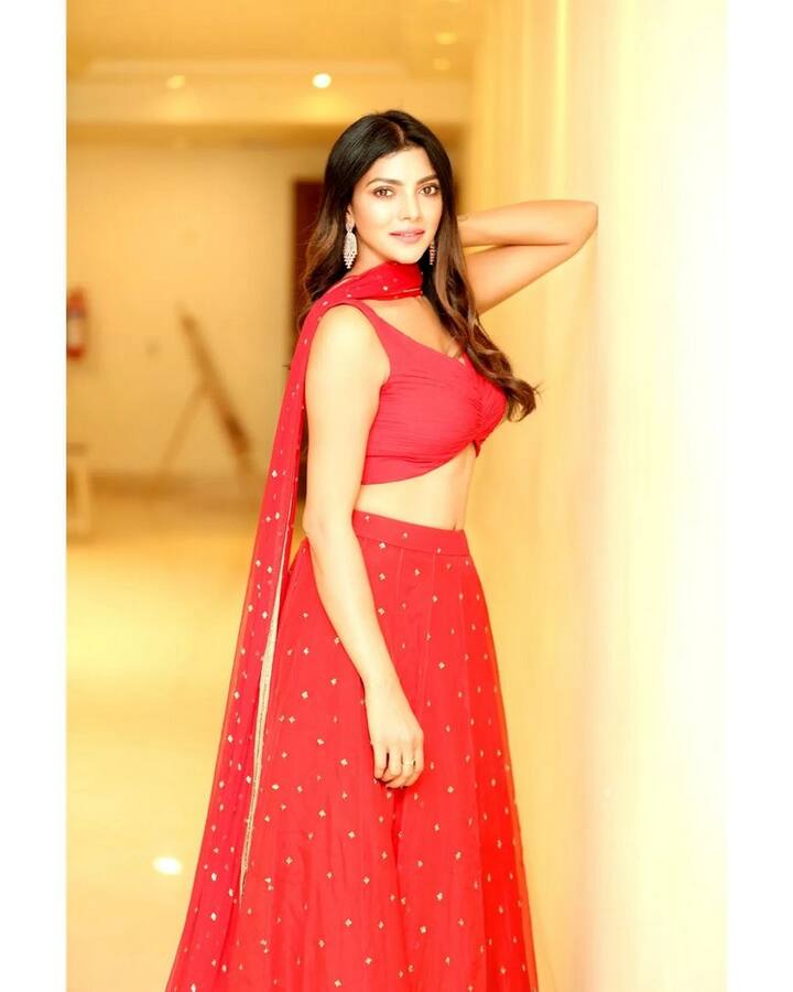 తాజాగా మరికొన్ని ఫోటోలను షేర్ చేసింది. ఈ ఫోటోలు నెటిజన్లను ఆకట్టుకుంటున్నాయి. (Photo Courtesy: Lahari shari Instagram)