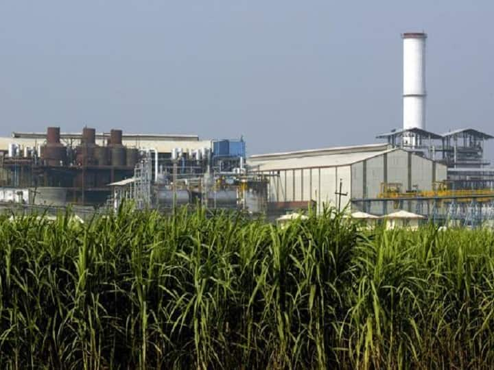 Responsibility for additional sugarcane crushing in Ahmednagar district on neighboring factories, decision in District Collector's meeting Sugarcane News : अहमदनगरमध्ये अतिरीक्त उसाचा प्रश्न, गाळपाची जबाबदारी 'या' साखर कारखान्यांवर