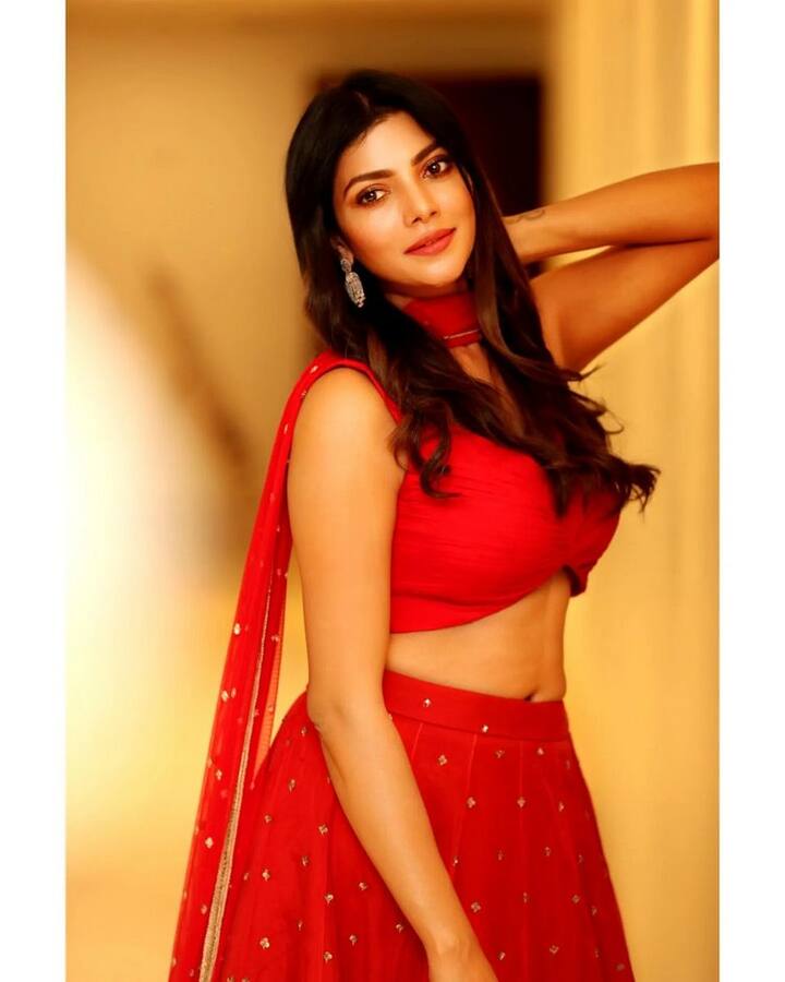 బయటకు వచ్చిన తరువాత పలు రకాల ఫోటోషూట్లలో పాల్గొంటూ వాటిని సోషల్ మీడియాలో షేర్ చేస్తుంది. (Photo Courtesy: Lahari shari Instagram)