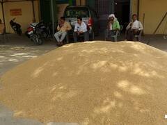 Etawah News: इटावा में मोबाइल क्रय केंद्र से किसानों के घर जाकर गेहूं खरीदेगी सरकार, बनाए गए 58 सेंटर